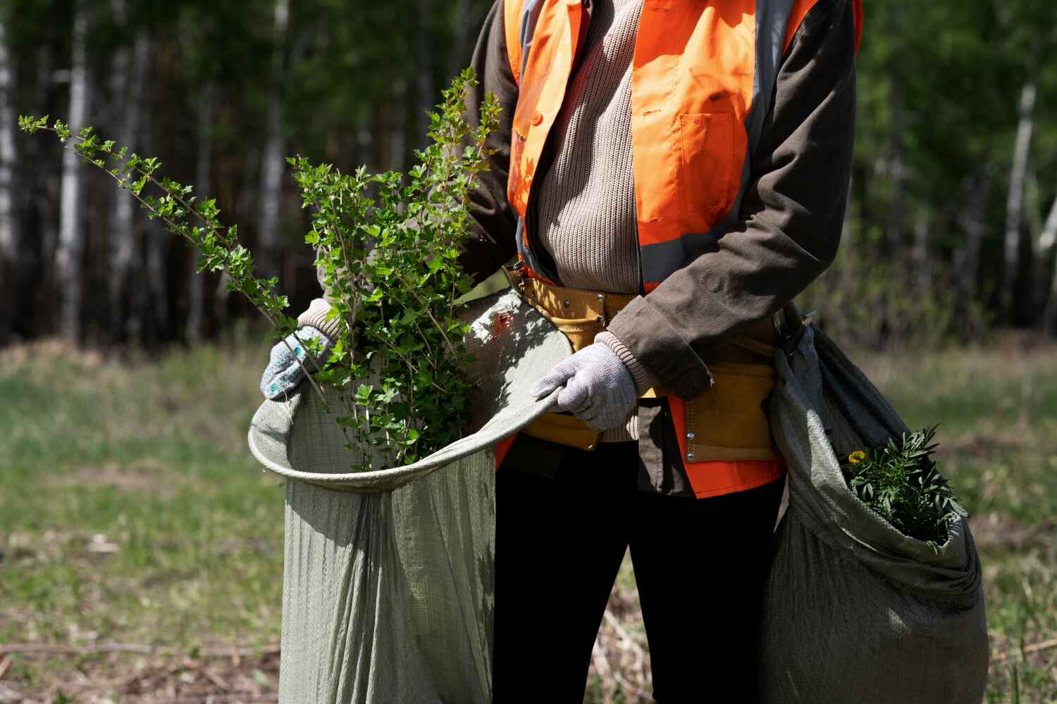 Best Emergency Storm Tree Removal  in Bayfield, CO